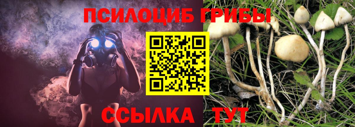 Псилоцибиновые грибы Psilocybine cubensis Кыштым