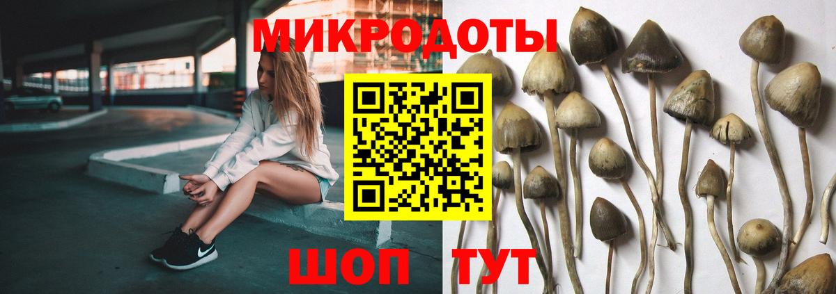 Псилоцибиновые грибы прущие грибы  Вход с VPN  Кыштым  Псилоцибиновые грибы Psilocybe 
